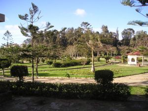 Montaza Gardens